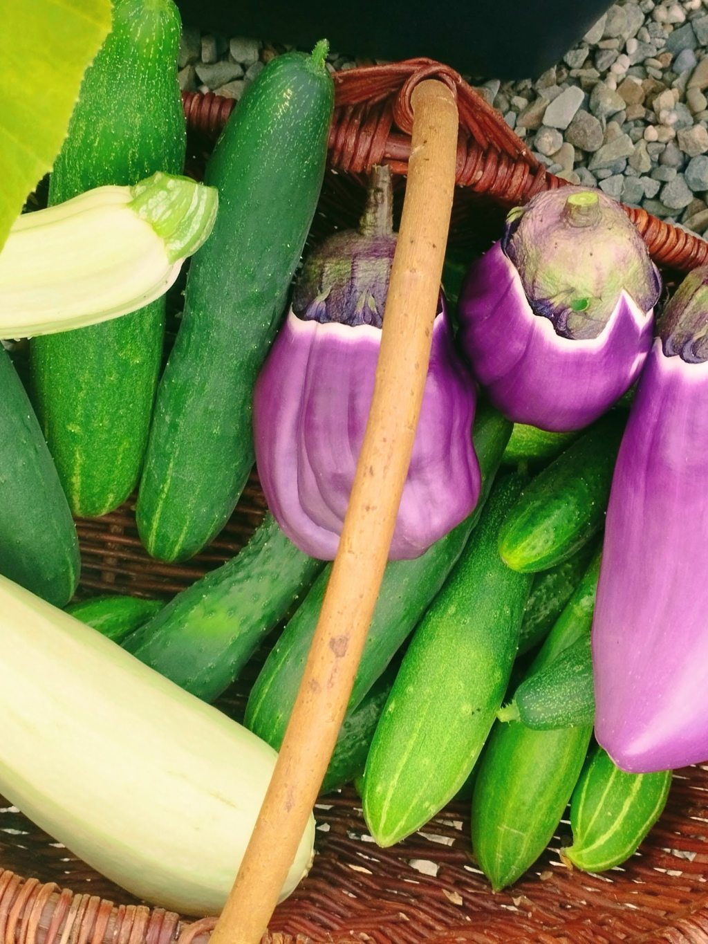 Ogórki czyli trapusha, ayurwedyjskie zdrowie do&nbsp;schrupania