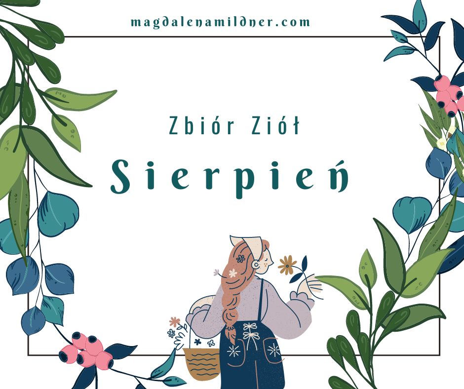 Kalendarz zbioru ziół –&nbsp;Sierpień