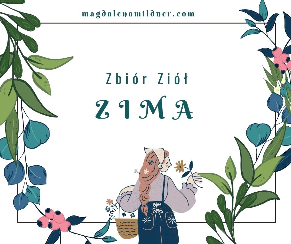 Kalendarz zbioru ziół –&nbsp;ZIMA