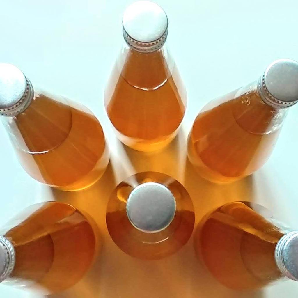 Syrop z kwiatów czarnego bzu – prosty przepis dla zdrowia i&nbsp;smaku