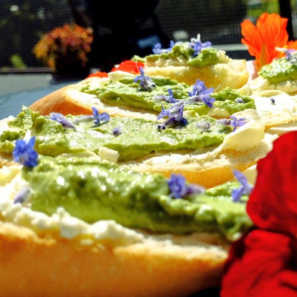 Pasta z liści nasturcji – wegańska, pikantna i zdrowa.