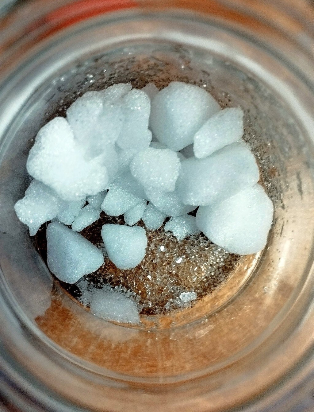 Żegnaj Biedronko czyli naturalne metody odstraszania biedronki&nbsp;azjatyckiej