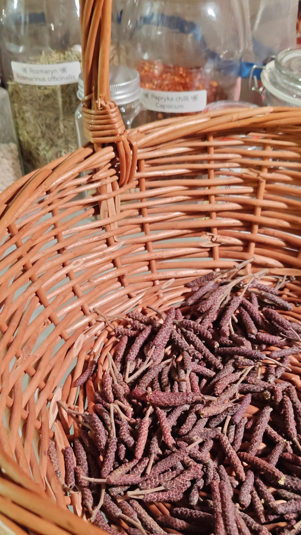 Sekret zimowego zielarza:&nbsp;olcha